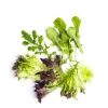 Daylesford Organic Fruit & Vegetables>Market Garden Mixed Salad Leaves