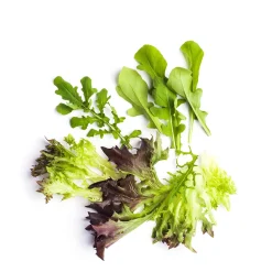 Daylesford Organic Fruit & Vegetables>Market Garden Mixed Salad Leaves