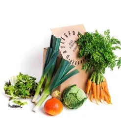 Daylesford Organic Grocery Bundles|Fruit & Vegetables>Market Garden Vegetable Box