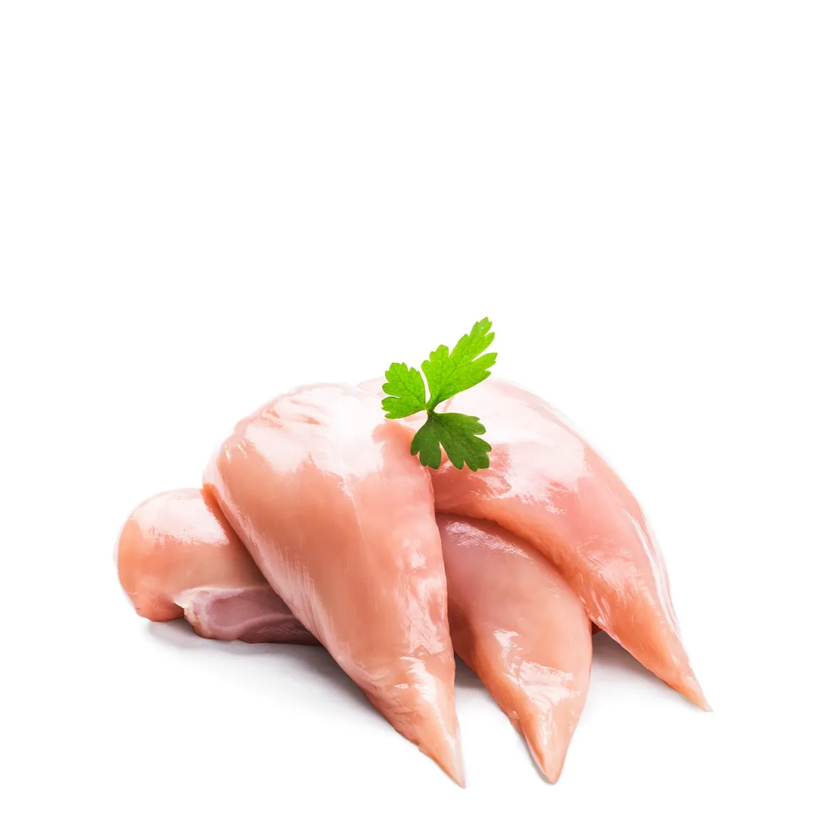 Daylesford Organic Meat & Fish>Organic Chicken Fillets