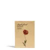 Daylesford Organic Seeds>Poppy Single Mix Seeds